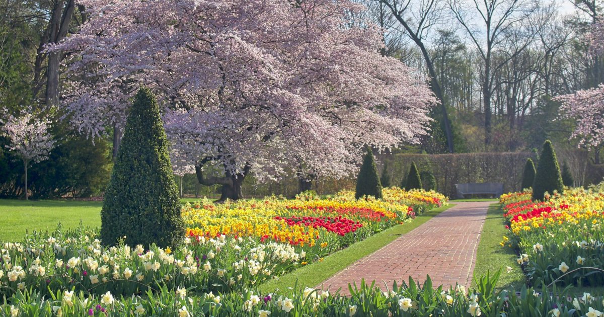 英語・図録Gardens in Perpetual Bloom